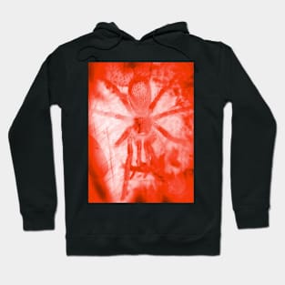 Tarantula Spiderling V16 Hoodie